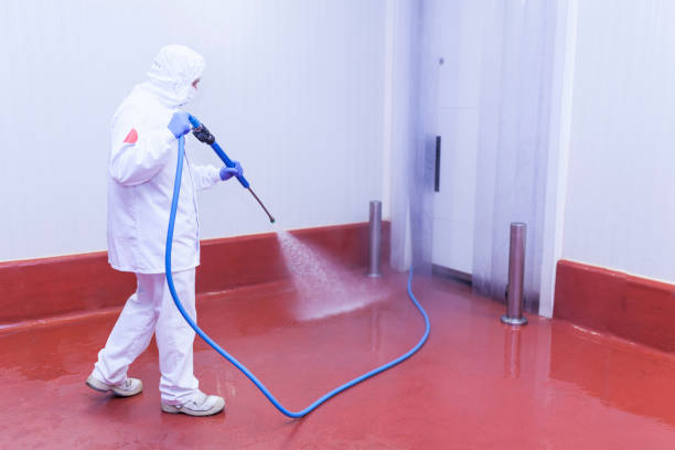Trusted Decordova, TX Pressure Washing Services Experts